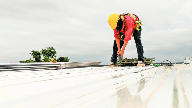 Best Roof Moss and Algae Removal  in Fraser, CO